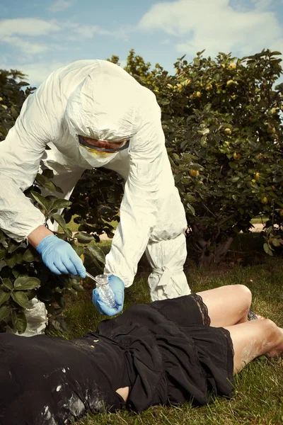 Technician entomologist collecting fly larva developed around body of victim — Stock Photo, Image