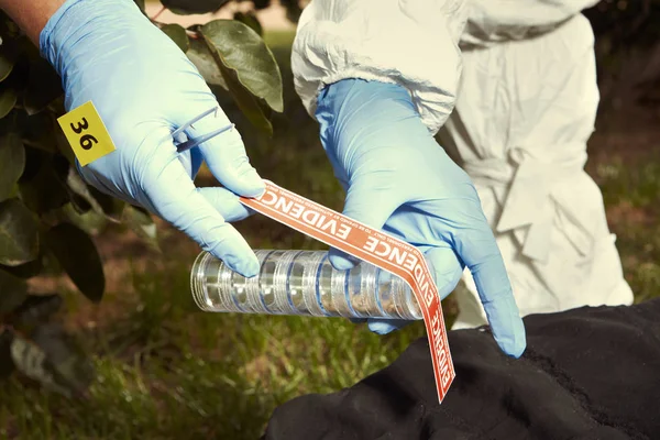 Técnico empacando evidencias de larvas recogidas en el cuerpo de la víctima — Foto de Stock