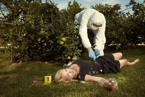 Criminologist technician working on observing body and collecting of evidences and traces — Stock Photo, Image