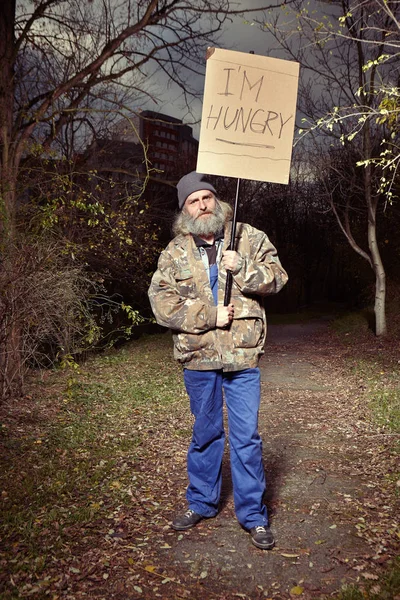 Бездомный хочет есть. — стоковое фото