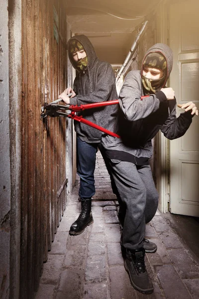 Two Teenage Burglars Breaking Basement Cellar Inch Bolt Cutters — Stock Photo, Image