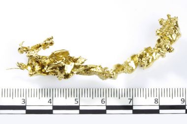 Altın parçaları ve arka plan üzerinde izole amaterur madenci, bulunan nuggets