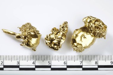Altın parçaları ve arka plan üzerinde izole amaterur madenci, bulunan nuggets