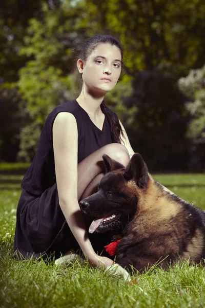 Cachorro Macho Jovem Cão Akita Americano Que Guarda Seu Proprietário — Fotografia de Stock