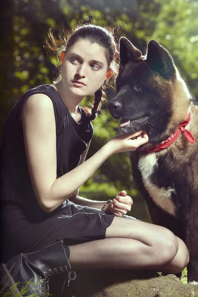 Cachorro Macho Jovem Cão Akita Americano Com Seu Dono Parque — Fotografia de Stock