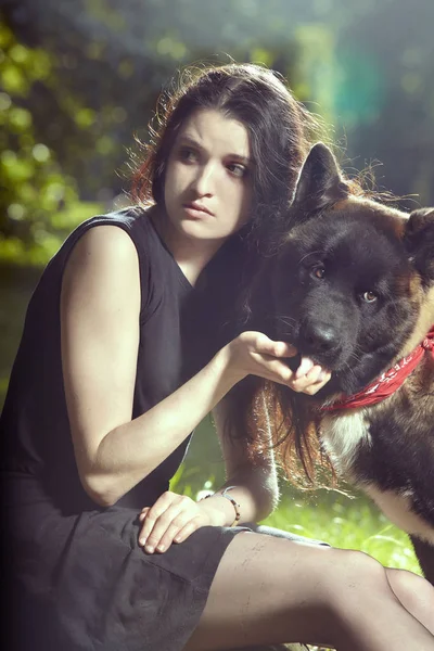 Cachorro Macho Jovem Cão Akita Americano Com Seu Dono Parque — Fotografia de Stock