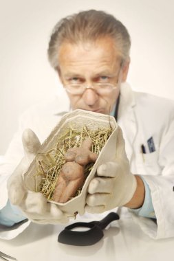 Tarih öncesi eser heykeli üzerinde çalışan bir müze uzmanı.