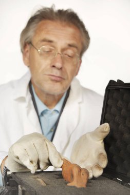 Tarih öncesi eser heykeli hazırlayan bir müze uzmanı.