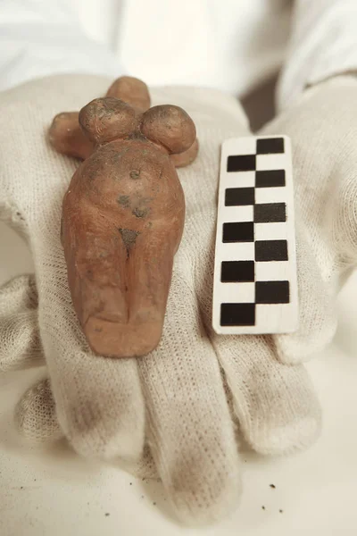 Científico Oficina Del Museo Trabajando Figura Prehistoria Mujer —  Fotos de Stock