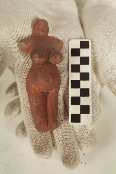 Científico Oficina Del Museo Trabajando Figura Prehistoria Mujer — Foto de Stock