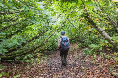 Iiyama, Nagano / JAPAN - 3. SEPTEMBER 2018: Rehberimiz Bay Osaka ile ormanda ve dağlarda yürürken Iiyama 'nın çarpıcı güzelliğini tecrübe edin.