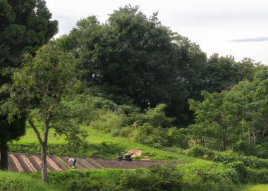 Iiyama, Nagano / Japonya - 3 Eylül 2018: Bir adam tarlada çiftçilik yapıyor.