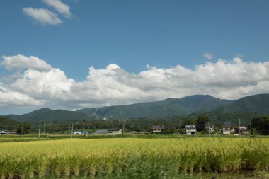 Nagano 'daki Japon pirinç tarlalarının ve dağların manzarasından manzara ve destansı manzara.