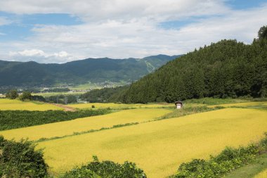 Manzaralı ve destansı manzara dağlık çeltik tarlalarından gökyüzünde kayak pistleri ve Japonya 'daki bulutlar.