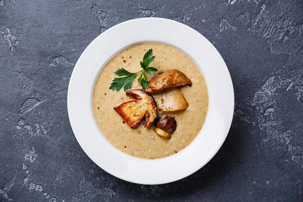 Cream soup with porcini mushroom — Stock Image Cream soup with porcini mushroom Stock Photo