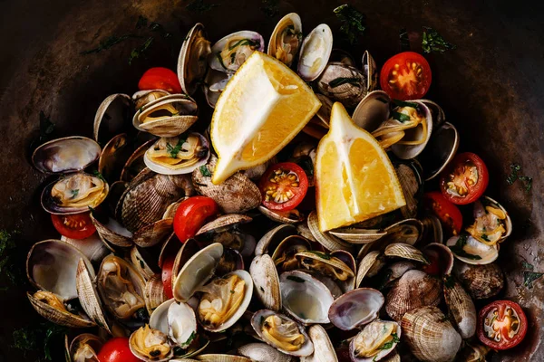 Vongole Shells Clams — Stock Image Vongole Shells Clams Stock Image