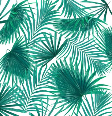 Beyaz arkaplanda yeşil palmiye yaprakları