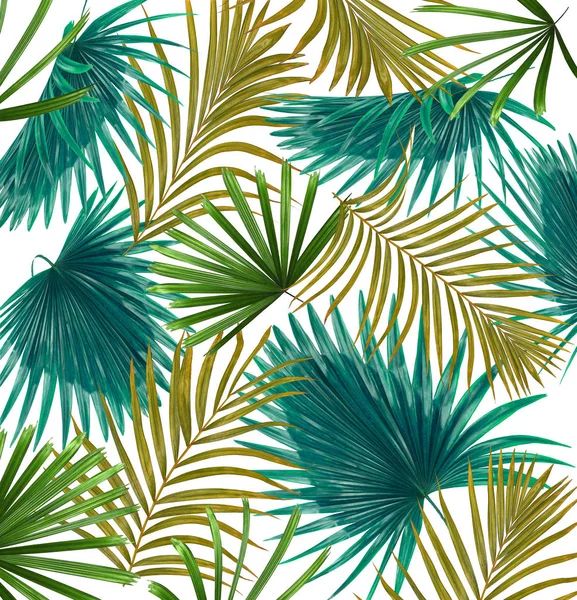 Green Leaves Palm Tree White Background — Stock Photo, Image