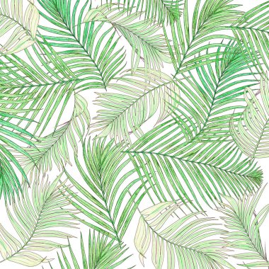 Beyaz arkaplanda izole edilmiş yeşil palmiye yaprakları