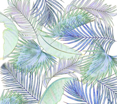 Palmiye ağacı arkaplanının yaprakları