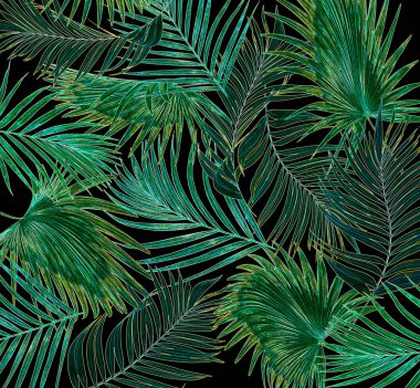 siyah arka plan üzerine palmiye ağacının yaprakları