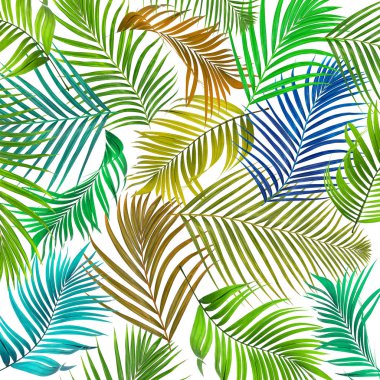 Beyaz arkaplanda palmiye yaprakları