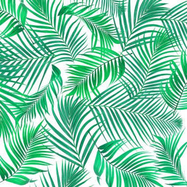 Beyaz arkaplanda yeşil palmiye yaprakları