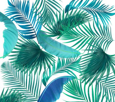 Beyaz arkaplanda palmiye yaprakları