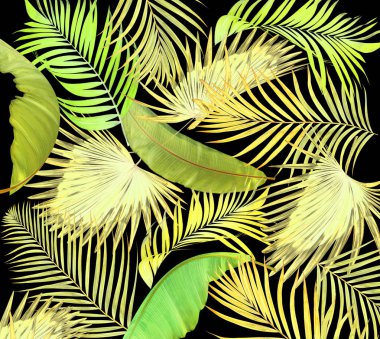 siyah arka plan üzerine palmiye ağacının yaprakları