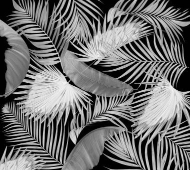 siyah arka plan üzerine palmiye ağacının yaprakları