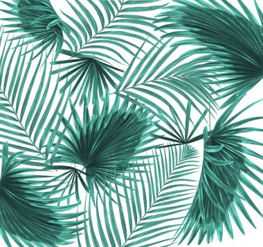 Beyaz arkaplanda palmiye yaprakları