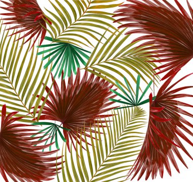 Beyaz arkaplanda palmiye yaprakları