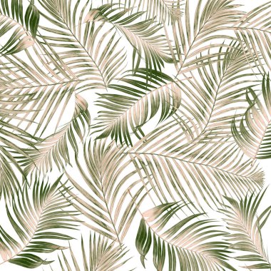 Beyaz arkaplanda yeşil palmiye yaprakları