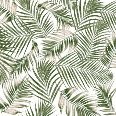 Beyaz arkaplanda yeşil palmiye yaprakları