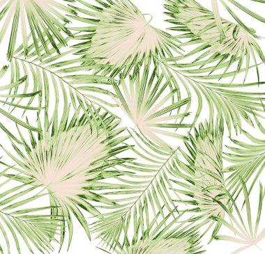 Beyaz arkaplanda yeşil palmiye yaprakları