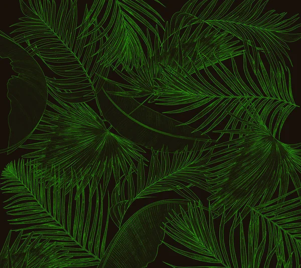 Zöld Levelek Pálmafa Fekete Háttér — Stock Fotó