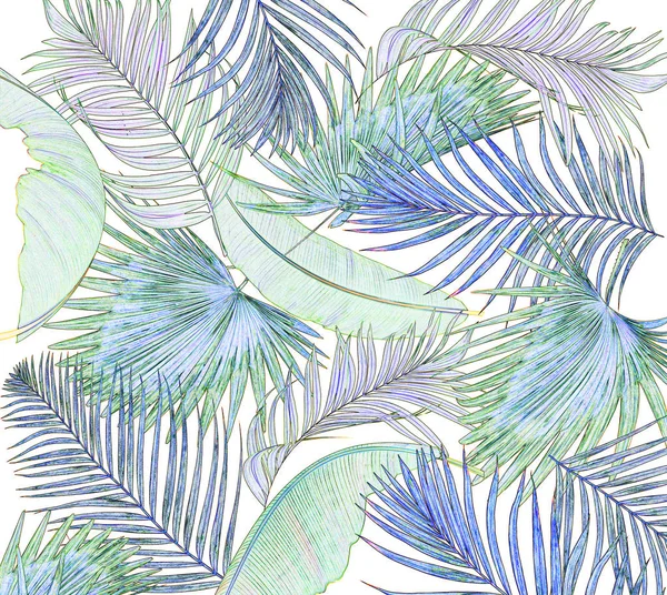 Palmiye ağacı arkaplanının yaprakları