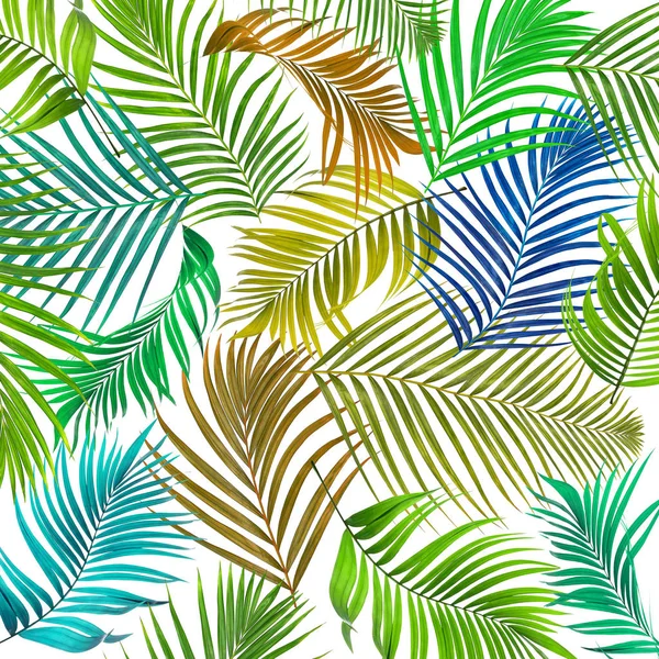 Beyaz arkaplanda palmiye yaprakları