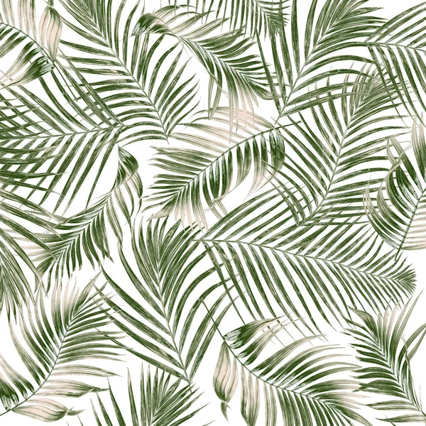 Beyaz arkaplanda yeşil palmiye yaprakları