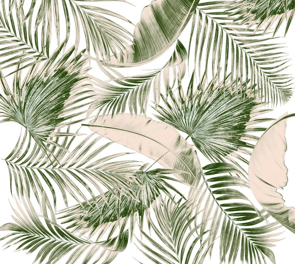 Beyaz arkaplanda yeşil palmiye yaprakları