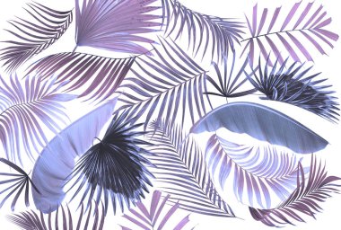 Palmiye ağacı arkaplan yaprağı