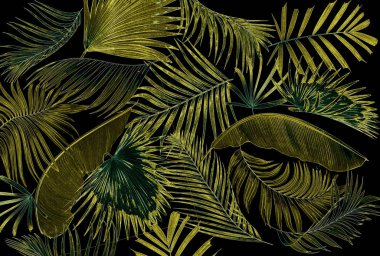 Palmiye ağacı arkaplan yaprağı