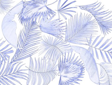 Palmiye ağacı arkaplan yaprağı