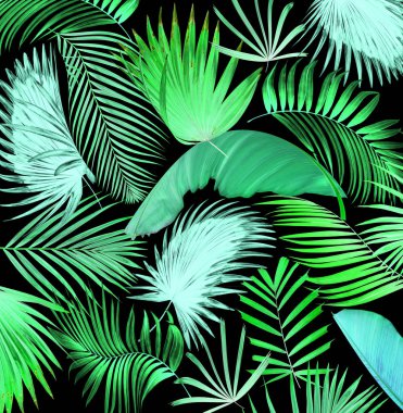 palmiye yaprağı ağaç arka plan mix