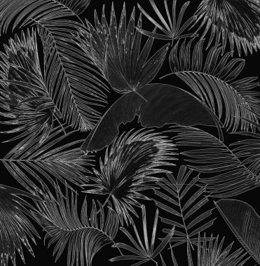 palmiye yaprağı ağaç arka plan mix