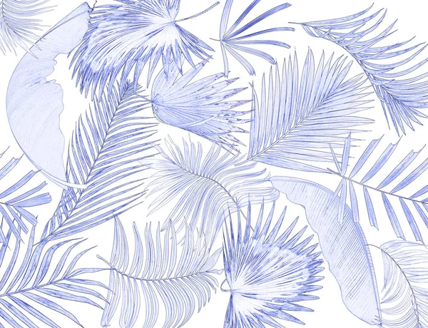 Palmiye ağacı arkaplan yaprağı