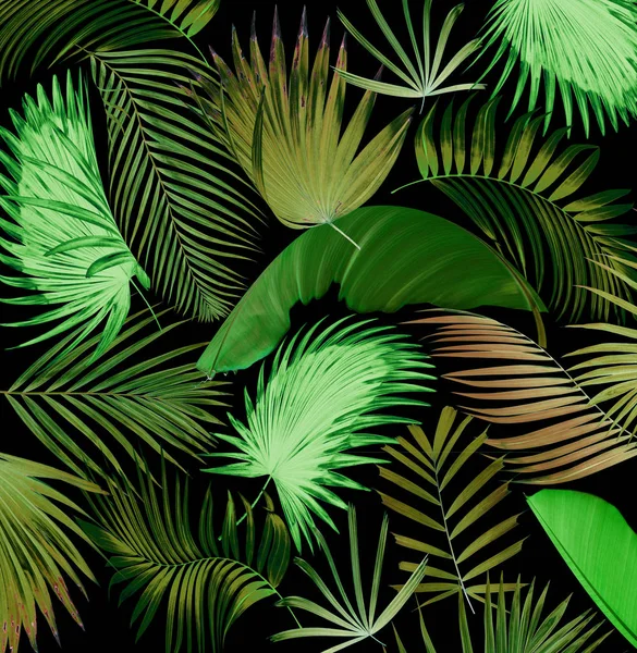 palmiye yaprağı ağaç arka plan mix