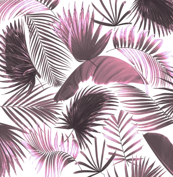 palmiye yaprağı ağaç arka plan mix