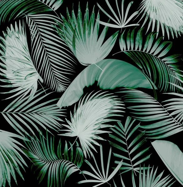 Palmiye yaprağı ağaç arka plan mix — Stok fotoğraf