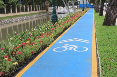 Parkta bisiklet yolu